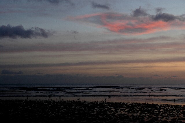 min 2007 11 25 camber plage 070